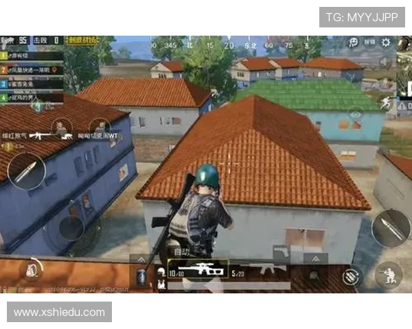 和平精英战术分析：深入探讨JDG边路渗透策略与实战应用