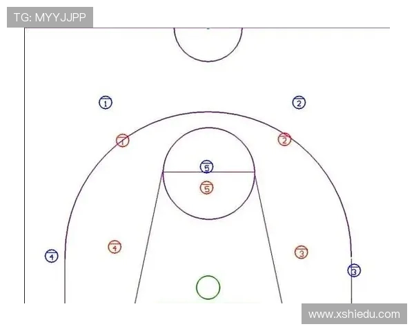 武汉篮球队区域防守战术解析与实战应用探讨