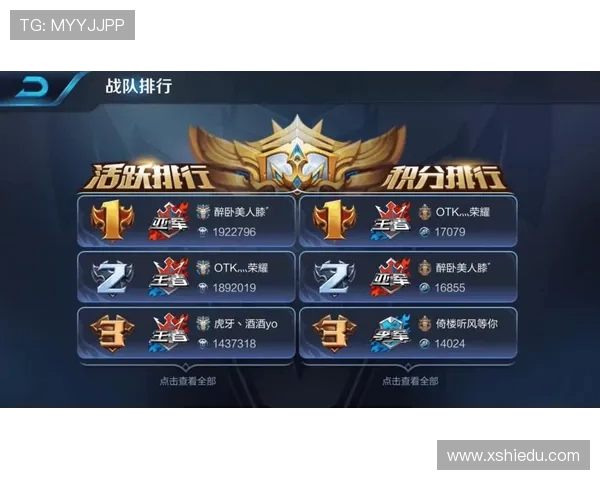 深入分析王者荣耀战术策略：WE战队的成功之道与未来展望