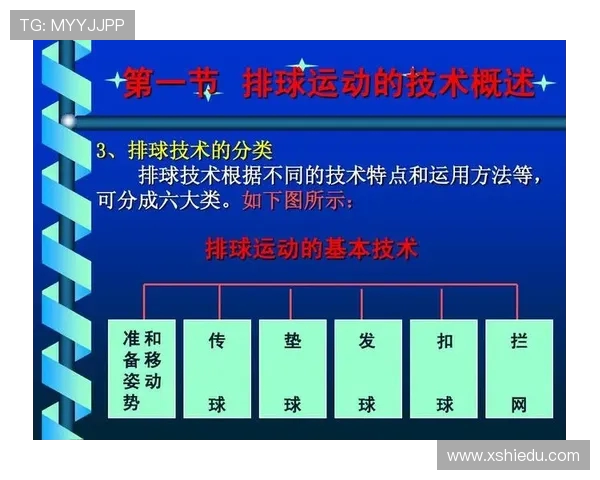 西安排球队的节奏与战术分析：排球比赛中的关键因素探讨