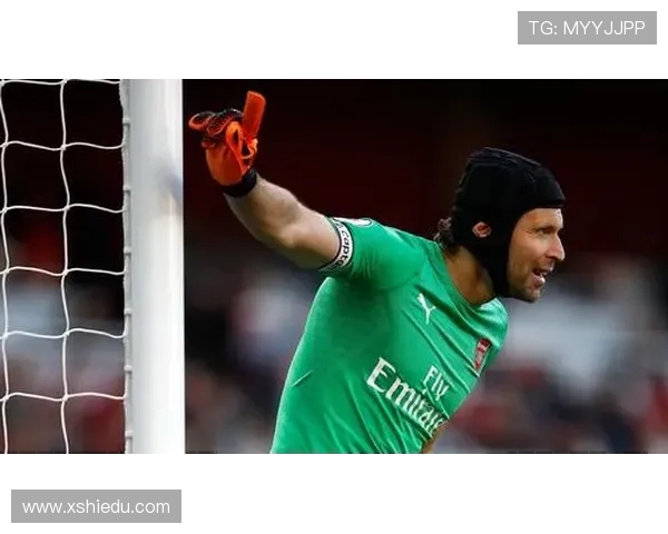 切赫与范德萨的巅峰对决谁才是门将之王的传奇传承者